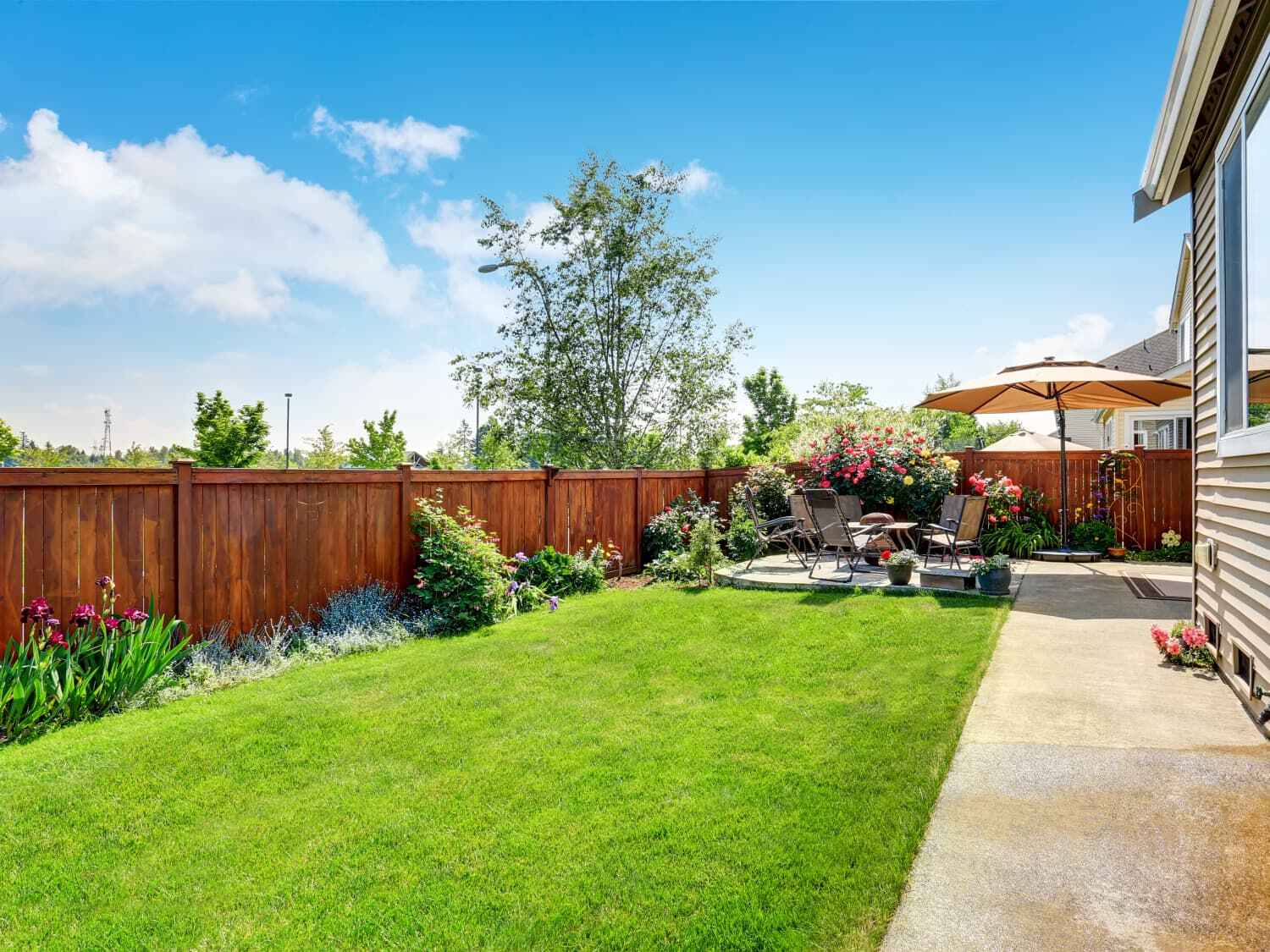 Original back yard before transformation